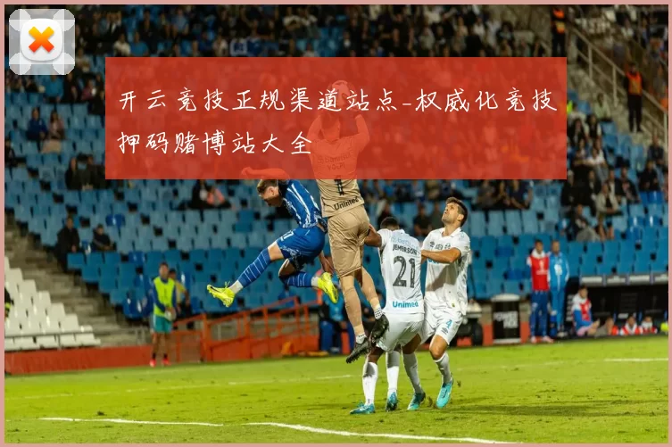 开云竞技正规渠道站点_权威化竞技押码赌博站大全