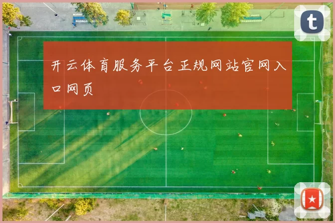 开云体育服务平台正规网站官网入口网页