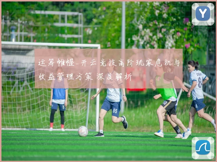 运筹帷幄_开云竞技高阶玩家危机与收益管理方策 深度解析